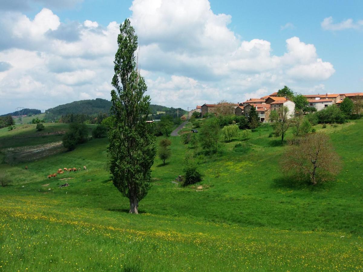 Le Vallon D'Armandine, Gite Ecologique Auvergne Saint-Hilaire  Exterior foto